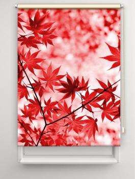 Rollo Roter Herbst, Rollo, Motivrollo, Rollo mit Druck, Fotorollo, bedrucktes Rollo, Fensterrollo,verdunkelndes Rollo, Sonnenschutz Rollo